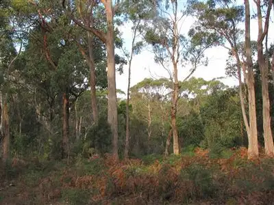 Fourth view of Homely land listing, Lot 3 Greens Beach Road, York Town TAS 7270
