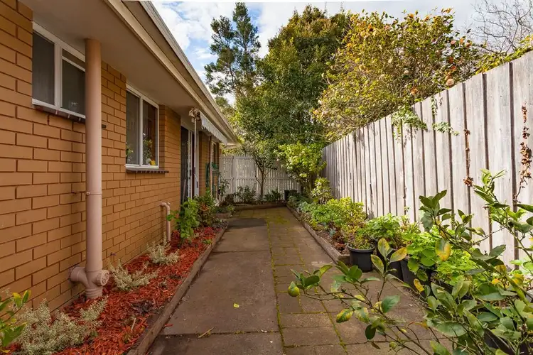 Sixth view of Homely unit listing, 1/20 Alameda Avenue, Mornington VIC 3931