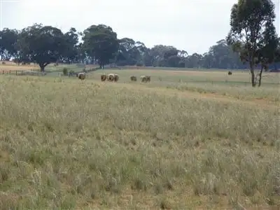 Seventh view of Homely rural property listing, 1792 Bendigo-Pyramid Road, Raywood VIC 3570