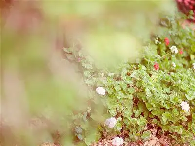 Fifth view of Homely house listing, 24 Yetholme Avenue, Baulkham Hills NSW 2153