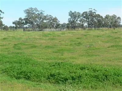 Seventh view of Homely rural property listing, Address available on request