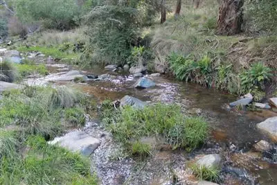 Fourth view of Homely rural property listing, 298 Mount Elrington Road, Braidwood NSW 2622
