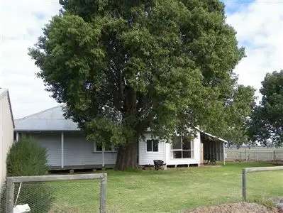Seventh view of Homely rural property listing, 229a Bora Swamp Road, Boort VIC 3537