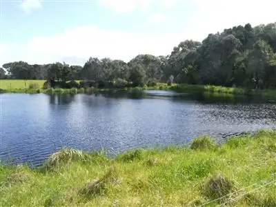 Main view of Homely rural property listing, 423 Millers Road, Lymwood TAS 7256