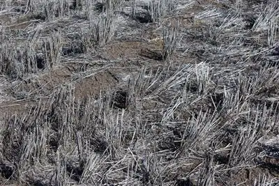 Sixth view of Homely rural property listing, Lalagooli/West Normans Rd, Gunnedah NSW 2380