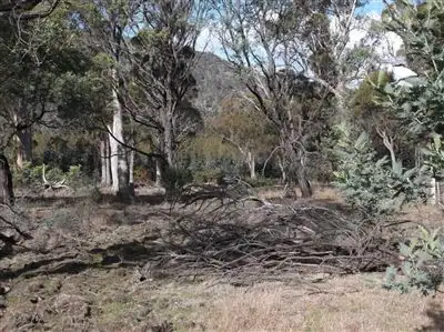 Third view of Homely rural property listing, Williams Road, Royal George TAS 7213