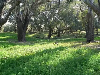 Sixth view of Homely rural property listing, . Rivergum Farm, Bourke NSW 2840