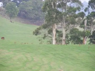 Third view of Homely rural property listing, 281 Camena Road, Penguin TAS 7316