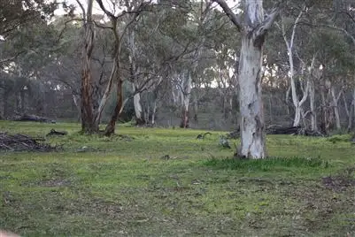 Main view of Homely rural property listing, Lot 3 Yettie Road, Cockatoo Valley SA 5351