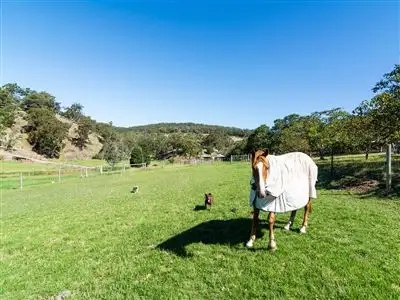 Fifth view of Homely house listing, 733 Scott Creek Road, Scott Creek SA 5153