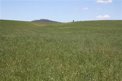 Seventh view of Homely rural property listing, 7291 The Block - Castlereagh Hwy Ilford, Mudgee NSW 2850