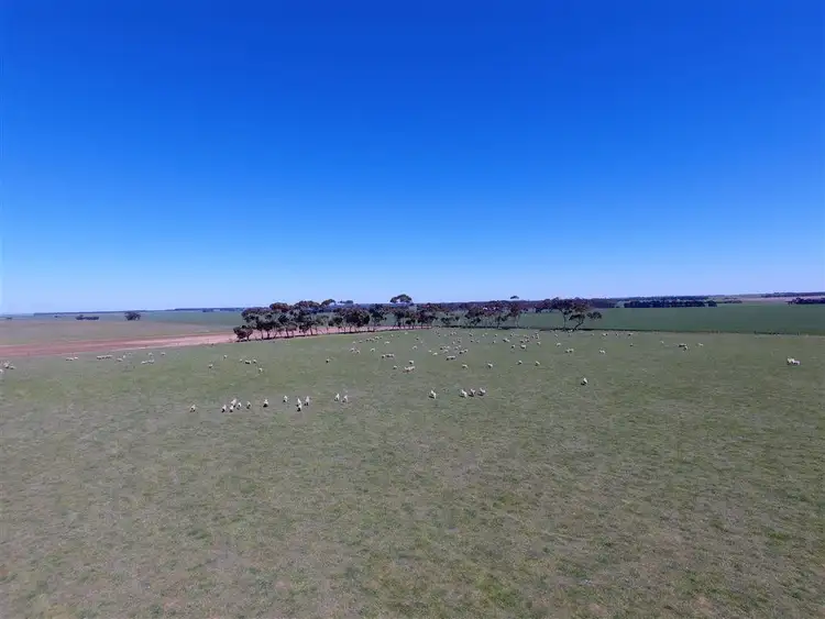 Sixth view of Homely rural property listing, 2 Lots Urches Road & Lismore-Pitfield Road, Wallinduc VIC 3351