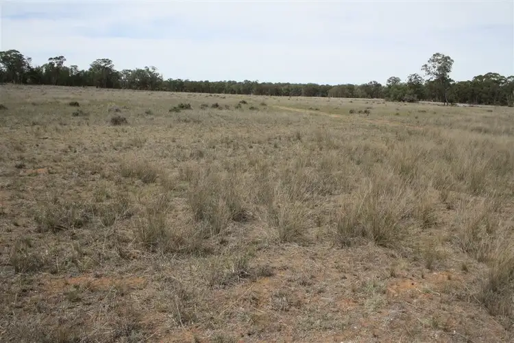 Sixth view of Homely rural property listing, 621 Flora Reserve road, Gilgandra NSW 2827