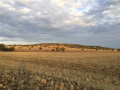 Second view of Homely rural property listing, . "Mulela" Weblands Rd, Quirindi NSW 2343