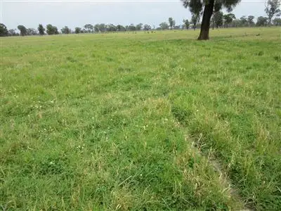 Seventh view of Homely rural property listing, 1220 Cullens Road, Euroa VIC 3666