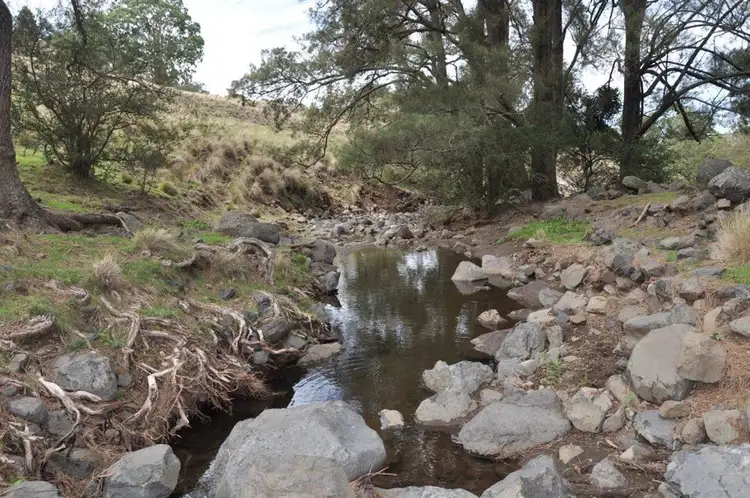 . "West Towarri", Kars Springs Rd, Scone NSW 2337