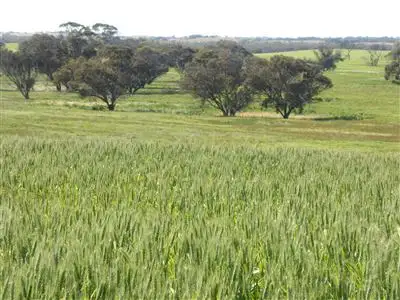 Seventh view of Homely rural property listing, 2117 Senior Road, Bordertown SA 5268