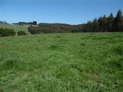 Second view of Homely rural property listing, 1235 Grand Ridge Road, Mirboo North VIC 3871