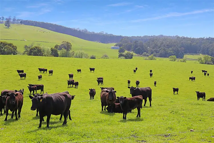 Third view of Homely rural property listing, 17 Macnees Road, Carrajung VIC 3844
