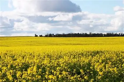 Main view of Homely rural property listing, Address available on request