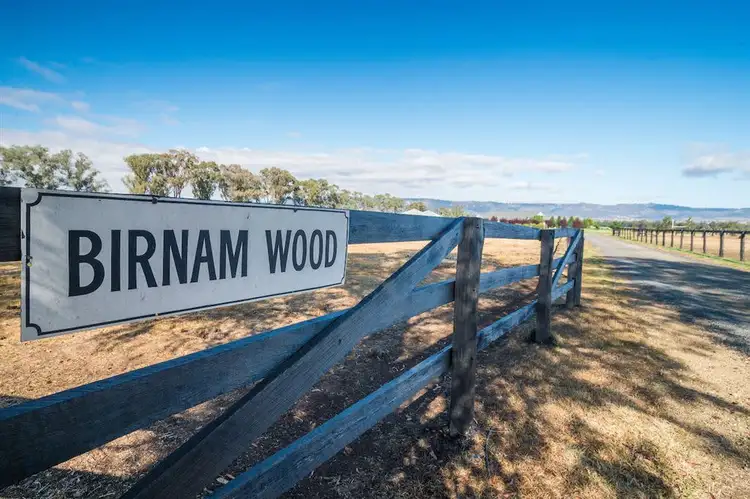 Main view of Homely rural property listing, 262 Turanville Rd, "Birnam Wood", Scone NSW 2337