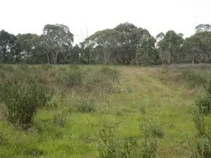 Seventh view of Homely rural property listing, Lot 4 Cooma Road, Braidwood NSW 2622