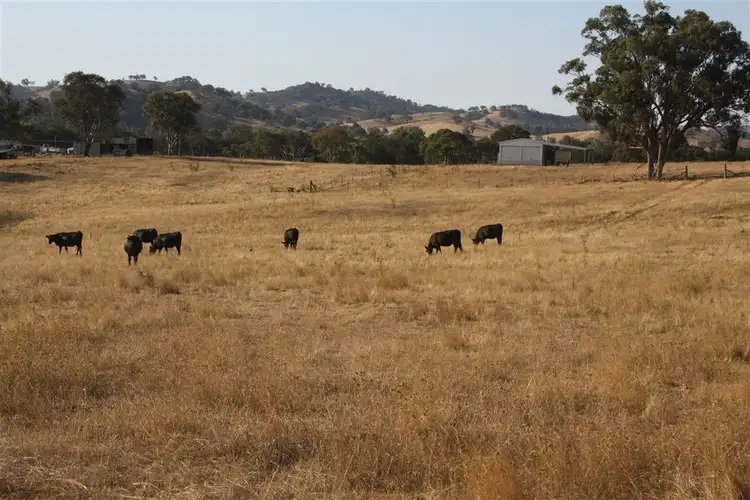 Sixth view of Homely rural property listing, Address available on request