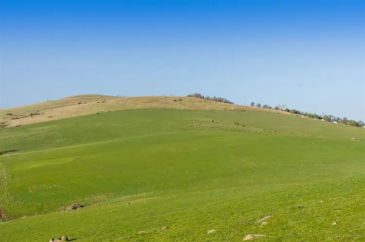 Fifth view of Homely land listing, 319 Forest Hill Road, Sandford TAS 7020