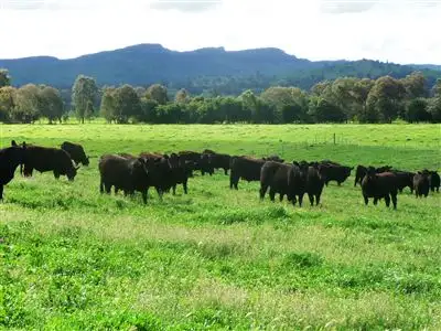 Fifth view of Homely rural property listing, 211 Plunkett Road, Table Top NSW 2640
