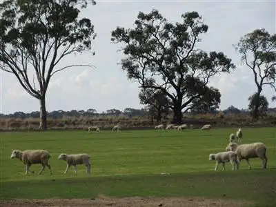 Third view of Homely rural property listing, Corner Stringers Road & Yando Road, Boort VIC 3537