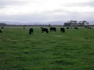 Third view of Homely rural property listing, 184 Blands Road, Tarraville VIC 3971