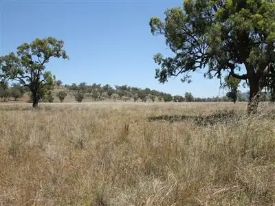 Main view of Homely rural property listing, 148 Warrah Creek Rd, Willow Tree NSW 2339