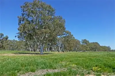 Fourth view of Homely rural property listing, 117 Mt Burr Road, Penola SA 5277