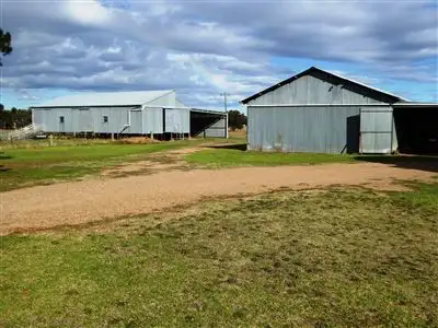 Second view of Homely rural property listing, 38 Bethel Rd, Burrumbuttock NSW 2642