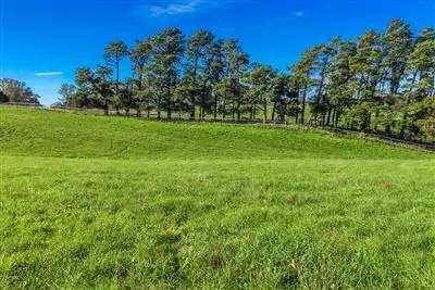 Third view of Homely house listing, Lot 2 Piney Ridge Road, Nairne SA 5252