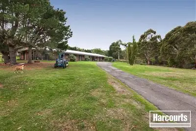 Main view of Homely house listing, 8 Oaks Court, Lysterfield South VIC 3156
