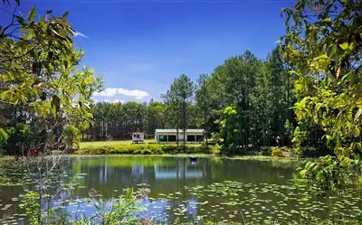 Fourth view of Homely rural property listing, 50 Firewheel Road, Lake Macdonald QLD 4565