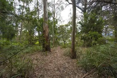 Sixth view of Homely land listing, 418 Brightwater Road, Howden TAS 7054