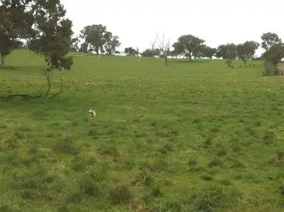 Seventh view of Homely land listing, Lot/442 Netherleigh Lane, Cootamundra NSW 2590