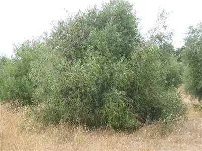 Sixth view of Homely rural property listing, Address available on request