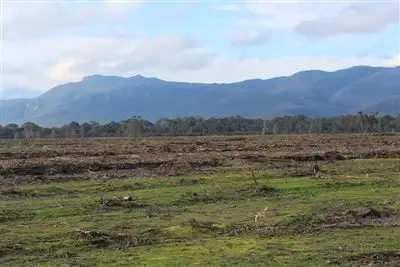 Fifth view of Homely rural property listing, 000 McCutcheons Road, Cavendish VIC 3314