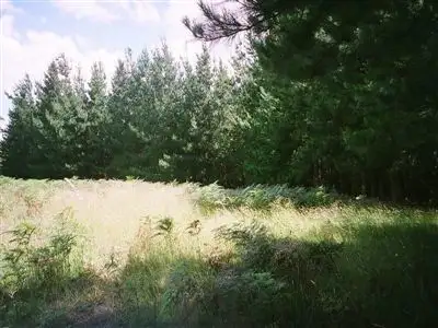 Fourth view of Homely rural property listing, 0 Harveys Road, Carrajung VIC 3971