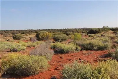 Sixth view of Homely rural property listing, . Wintinna Station, Marla SA 5724