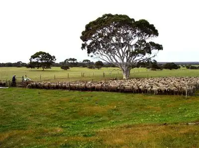 Main view of Homely rural property listing, 14 East West Two Highway, Parndana SA 5220