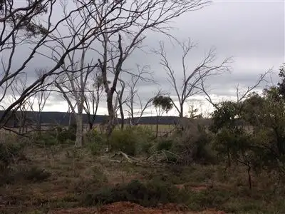 Fourth view of Homely land listing, L409 Jamieson Street, Ravensthorpe WA 6346
