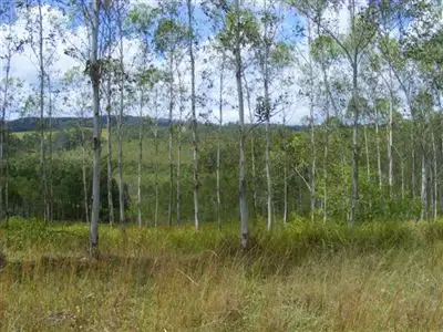 Sixth view of Homely rural property listing, Rosehill/. Old School Road, Busbys Flat via, Casino NSW 2470