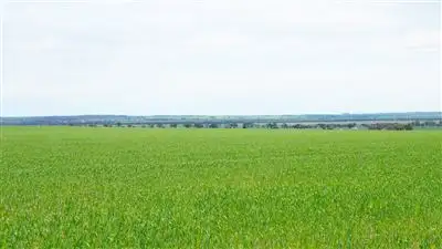 Seventh view of Homely rural property listing, Address available on request