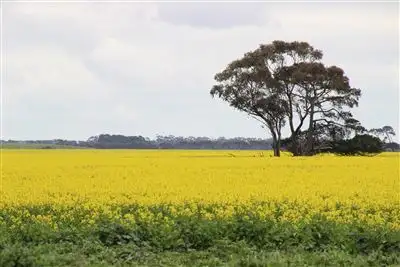 704 Mount William Road, Skipton VIC 3361