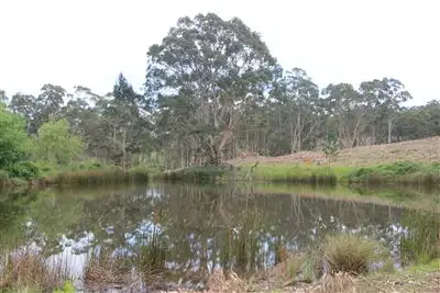 Fourth view of Homely rural property listing, Address available on request