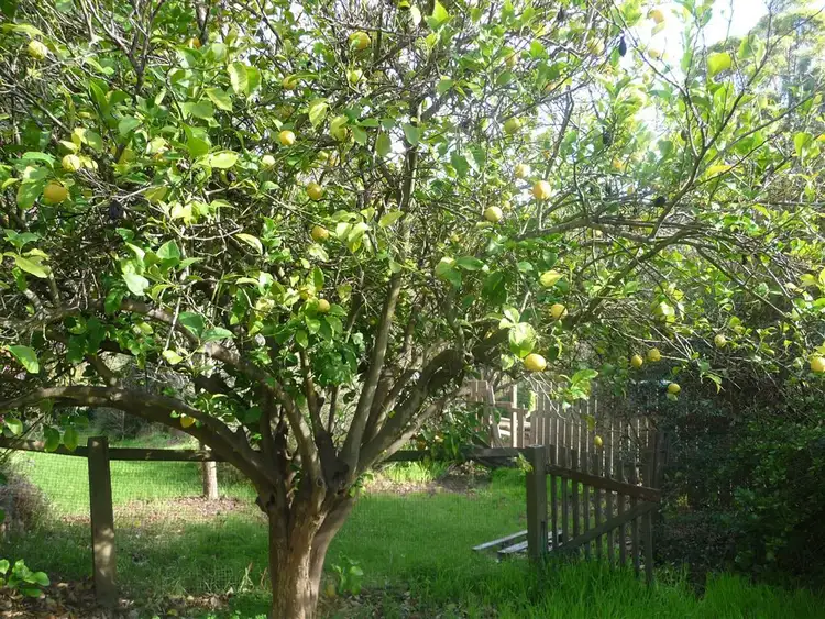 Seventh view of Homely land listing, 3 Carey St, Bridgetown WA 6255